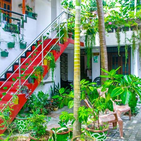 Sigiri Tarushan Home Stay Сигирия Экстерьер фото