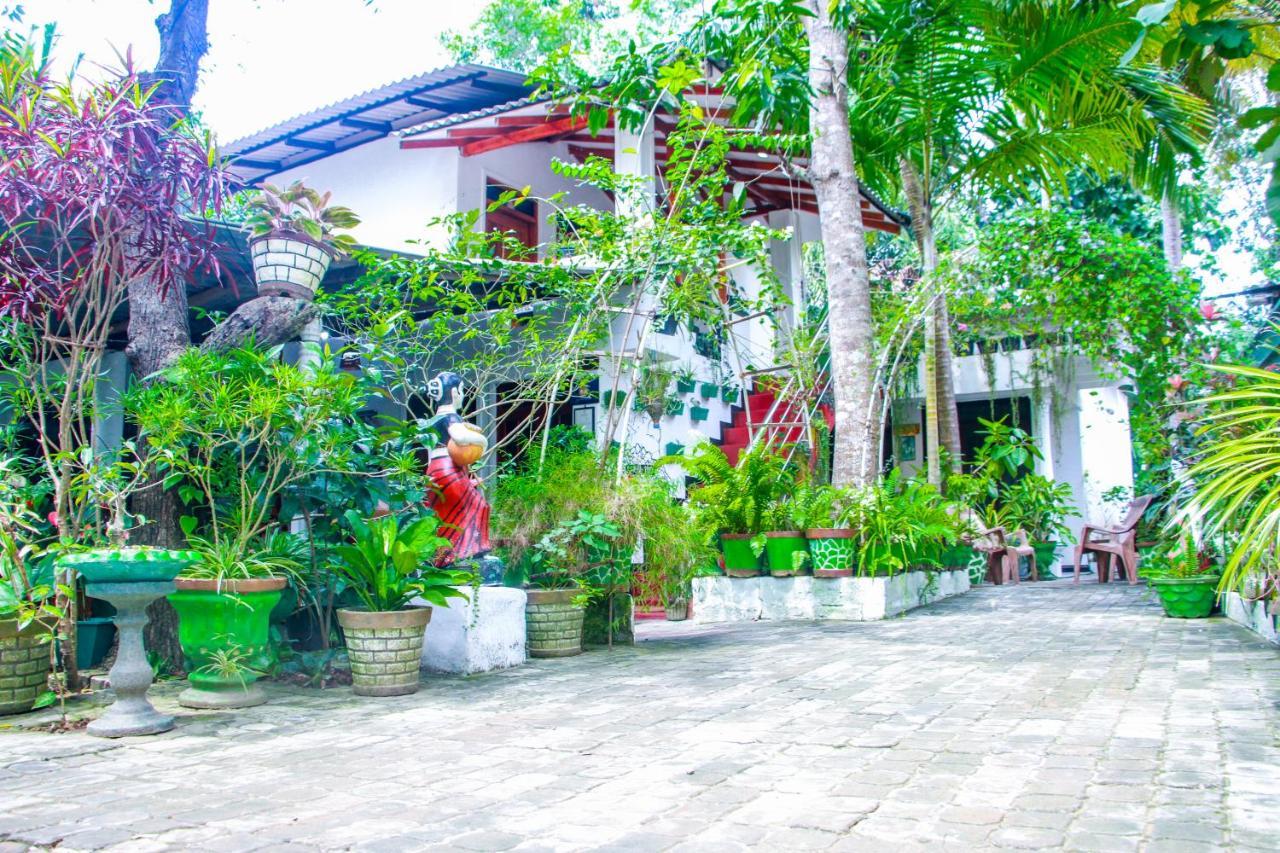 Sigiri Tarushan Home Stay Сигирия Экстерьер фото