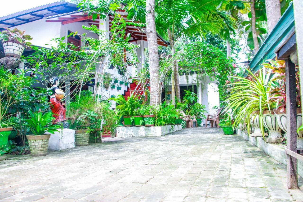 Sigiri Tarushan Home Stay Сигирия Экстерьер фото